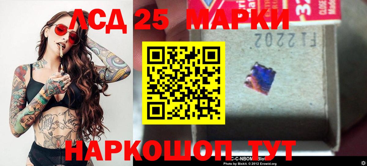 Сокол  LSD-25 экстази  Вход с VPN  LSD-25 экстази кислота  Лсд 25 экстази кислота 
